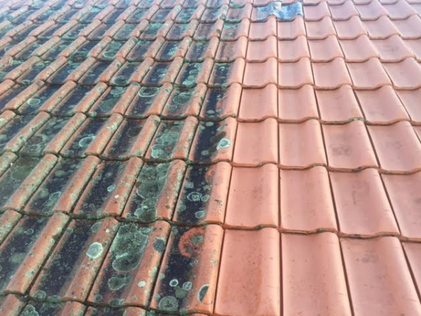 roof-cleaning-norwich